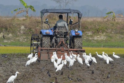 Yogi to launch mega irrigation projects to benefit 40L farmers Yogi to launch mega irrigation projects to benefit 40L farmers