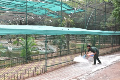 Hyderabad Zoo drops 'Komaram Bheem' name for newborn gaur after row Hyderabad Zoo drops 'Komaram Bheem' name for newborn gaur after row