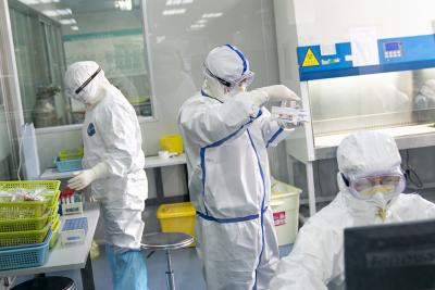 Amateur investigators claim to break Wuhan lab secrets Amateur investigators claim to break Wuhan lab secrets