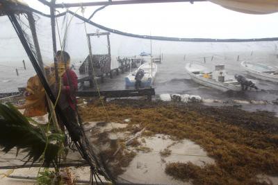 Tropical storm Dolores makes landfall in Mexico Tropical storm Dolores makes landfall in Mexico
