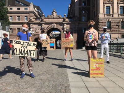 Greta Thunberg back for climate protests at Swedish parliament Greta Thunberg back for climate protests at Swedish parliament