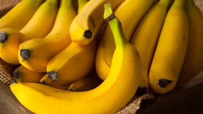 India exports Rs 619 cr banana during 2020-21 India exports Rs 619 cr banana during 2020-21