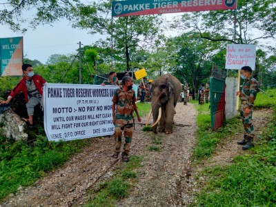 Not paid for 6 months, staff at Arunachal tiger reserve begin indefinite strike Not paid for 6 months, staff at Arunachal tiger reserve begin indefinite strike