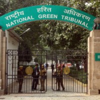 Set up panel to decide on impact of four-lane highway on Goa wetlands: NGT