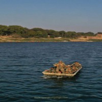 Survey to study algae bloom in Ganga at Varanasi