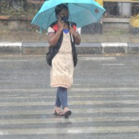 Monsoon to hit Kerala today, conditions perfect: IMD