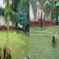 Tahira Kashyap shares funny description of puppy Peanut