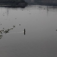 'Ammonia levels in Yamuna rise again, to hit water supply in Delhi'