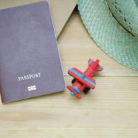 Key insights on travel in 2021 by VFS Global's Regional Group COO