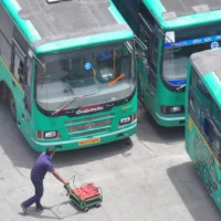 MTC resumes bus services in Chennai, occupancy low