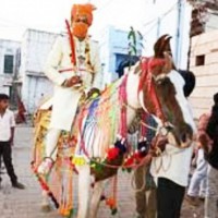 UP Dalit youth's dream of riding horse on his wedding faces minor hurdle
