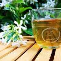 Green tea might help tackle Covid: Indian-origin researcher