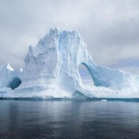 Tackle biodiversity, climate crises together: Experts