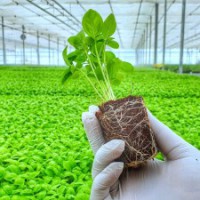 Agri-tech WayCool plans $20 mn capex, strategic investments