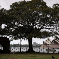 Sydney extends lockdown to more areas