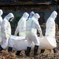 Maha: Covid fatalities remain high, MMR deaths cross 30K