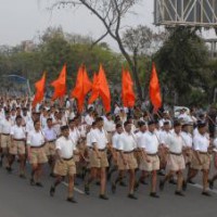 RSS leader likens Hindu community to frogs