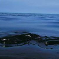 Portuguese ship spills 10 KL oil 450 km off Chennai