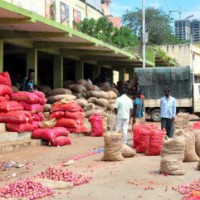 India's agriculture exports jump to $ 41 billion despite pandemic disruptions