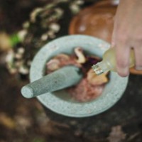 Preventing Iron deficiency via Ayurveda
