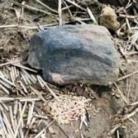 Maha farmer faces 'social boycott', fine for damaging village deity
