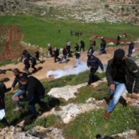 7 Palestinians injured in clashes with Israeli soldiers