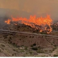 Multiple wildfires rage across Arizona