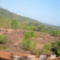 Gurugram: DTCP to organise awareness camps on land schemes