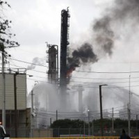 Tech firms' carbon emissions drop by 85% in India