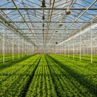 Karnataka to use Israeli technologies to boost horticulture