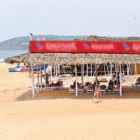 Goa is first rabies-free state in the country: CM