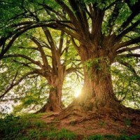 Water from air, avoiding plastics, renewable power making corporates embrace green
