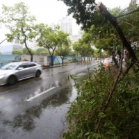 Strong winds of 25-35 kmph likely over northwest India
