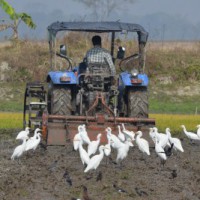 Yogi to launch mega irrigation projects to benefit 40L farmers