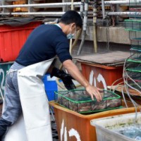 Markets with live wild animals create utmost risk for human health: Lancet