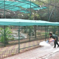 Hyderabad Zoo drops 'Komaram Bheem' name for newborn gaur after row