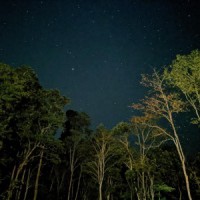 Assam to have 7 National Parks now, most after Madhya Pradesh