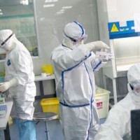 Amateur investigators claim to break Wuhan lab secrets