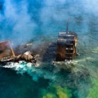 Dead animals wash up ashore in SL after burning of cargo ship