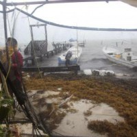 Tropical storm Dolores makes landfall in Mexico