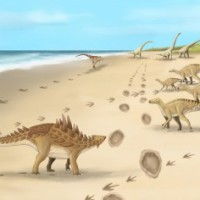 Footprints of last dinosaurs walked 110M years ago in UK found