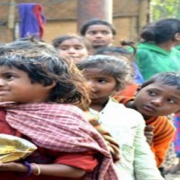 NCPCR seeks report over posts seeking adoption of children