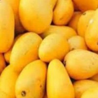 'Kisan Rail' carrying mangoes chugs to Delhi from K'taka