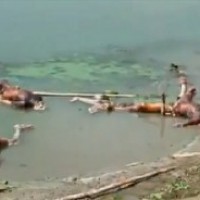Dead bodies continue to be dumped into the Ganga in Bihar