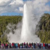 Yellowstone National Park registers record tourist arrivals