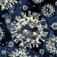 Mucormycosis caseload crosses 1K-mark in TN: Minister