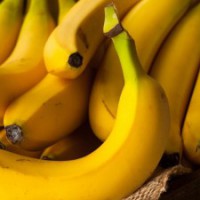 India exports Rs 619 cr banana during 2020-21