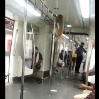 Video showing monkey travelling in Delhi Metro goes viral