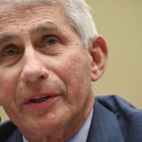 Fauci 'undeniable asset': White House over Covid lab leak emails