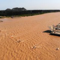 Water quality of China's Yellow River improved in last 5 yrs